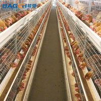 Cages d'élevage automatiques pour élever des poules