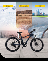 Vélo de montagne électrique sportif 26 pouces 250W 36V Batterie au lithium Moteur à moyeu arrière Cadre en alliage d'aluminium 7 vitesses Frein à disque Vente en gros