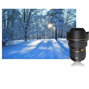 Objectifs d'occasion d'origine DF en gros pour modèles 18-55mm, 18-105mm, 18-135mm, 18-140mm, 18-200mm, 18-300mm, 55-200mm, 55-300mm, 70-300mm - Product Image 4