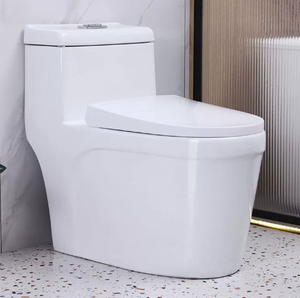 สุขภัณฑ์ชิ้นเดียวแบบ Washdown สำหรับห้องน้ำในบ้าน - Product Image 1