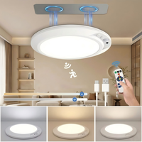 Lumière LED à détecteur de mouvement magnétique détachable facilement, rechargeable, à intensité variable, 3CCT, télécommande pour escaliers, couloir, placard