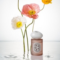 Flacon vide de 120 ml pour huile aromatique, parfum, diffuseur à bâtonnets, coffret cadeau