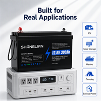 Batterie LiFePO4 de qualité supérieure (Stock UE) 12,8V 100Ah 200Ah 300Ah à décharge profonde 12V avec BMS intelligent, 6000+ cycles pour stockage solaire, camping-car et systèmes hors réseau