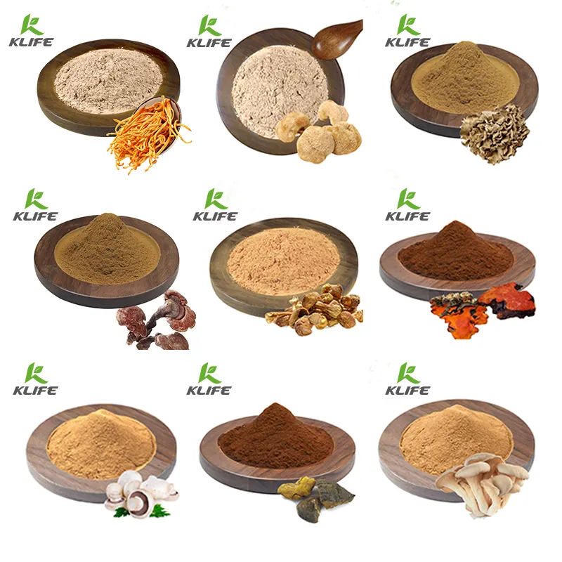 USDA Organic Natural Ganoderma Lucidum Extract Reishi Mushroom Extract Powder