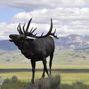 D & Z decorazione animale all'aperto di alta qualità bronzo di grandi <span class=keywords><strong>dimensioni</strong></span> <span class=keywords><strong>alce</strong></span> con orso scultura - Product Image 3