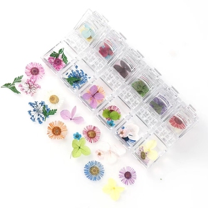 Ensemble de <span class=keywords><strong>fleurs</strong></span> séchées pour manucure, pièces, haute qualité, divers paquets, <span class=keywords><strong>fleurs</strong></span> naturelles pressées pour <span class=keywords><strong>fleurs</strong></span> séchées, nail art - Product Image 1