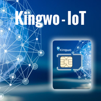 Carte SIM IoT Données Illimitées KINGWO International pour Dispositif de Suivi GPS