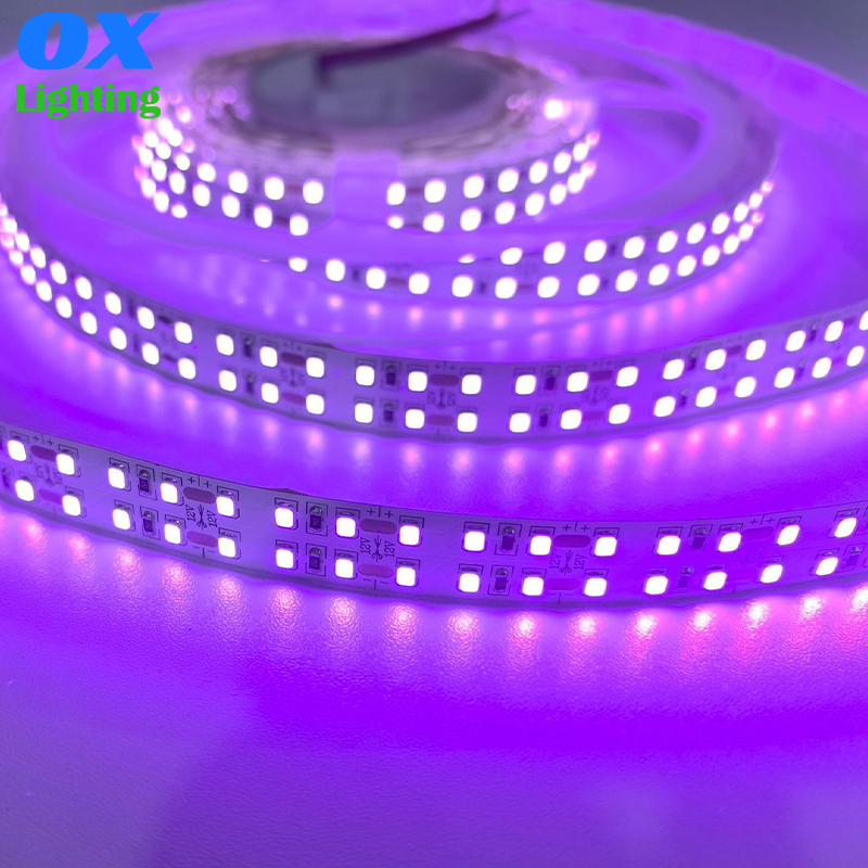 395nm UV LED Tape SMD 2835 12V 24V 240 LEDs 395nm UV LED Strip Light for UV Curing Detection