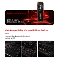Бюджетный SSD-накопитель SATA M.2 256 ГБ 2280 NGFF с поддержкой Intel и AMD для настольных ПК и ноутбуков
