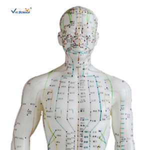 Модель акупунктуры для мужчин, 50 см - Product Image 3