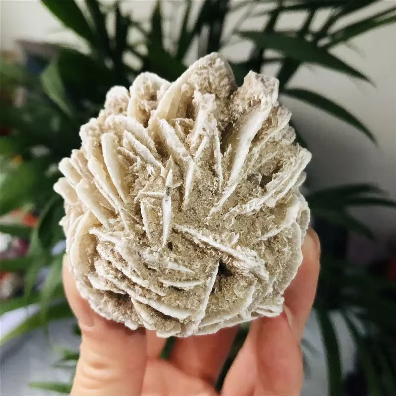 Pierre brute Rose du Désert