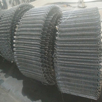 Spirale hélicoïdale en fil plat d'acier inoxydable Caiyin pour machine d'alimentation à vis flexible