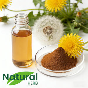 ผงสกัดรากดอกแดนดิไลออนปรับแต่งได้ ช่วยปรับสมดุลลำไส้ เหมาะสำหรับเจ้าของแบรนด์และผู้จัดจำหน่าย - Product Image 4