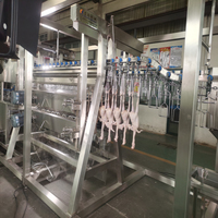 Ligne de production d'abattage de poulets, pigeons, cailles, oies, lapins, oiseaux et canards