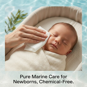 Seaweed Fiber Wet <b>Wipes</b> for with 100% <b>Biodegradable</b> Alginate Fabric Sustainable Natural Plant Fiber - Product Image 3