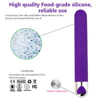 Bestseller USB-Aufladbarer Mini Langer Bullet Dildo Vibrator 10-Gang Weiblicher Masturbations-Massagevibrator Sexspielzeug