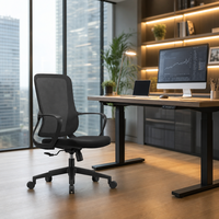 Chaise de bureau ergonomique moderne à dossier haut en maille, avec support lombaire, accoudoirs réglables, pivotante à 360 degrés, réglage de hauteur par vérin à gaz, chaise de travail informatique