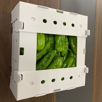 Op maat gemaakte recyclebare voedselveilige PP voor fruitverpakkingen, golfkartonnen plastic bak