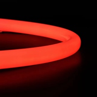 Tube LED rond en silicone flexible US-N30D 360 degrés 30 mm, diffuseur, bande néon