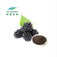 Water Oplosbaar 100% Natuurlijke Zwarte Frambozen Fruit Bessensap Poeder