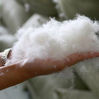 Insert de coussin de canapé économique en plumes d'oie blanches lavées naturelles