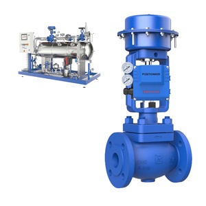 ชุดควบคุมนิวแมติก Bithermo แบบเดียวกับ Spirax Sarco และอะไหล่อื่นๆ สำหรับโรงงานอาหาร - Product Image 4
