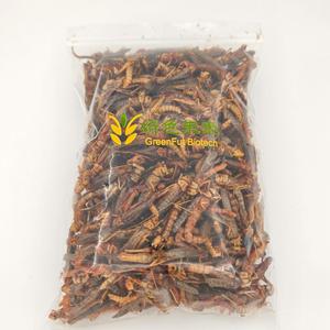 Alimentation en gros pour oiseaux à haute teneur en protéines : 100 % naturel, sauterelles séchées pour oiseaux, poissons et animaux de compagnie - Product Image 5