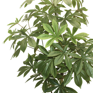 Albero di Manihot Esculenta Artificiale in Plastica CHUANGFA 170cm - Decorazione Ecologica per Interni, Casa, Ringraziamento e Matrimoni - Product Image 2