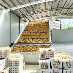 Séchoir à bande continue multi-couches pour la déshydratation des cultures agricoles en vrac et des matières premières alimentaires - Product Image 2