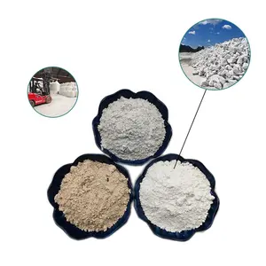 Lempung Kaolin Dicuci Putih Tinggi untuk Bahan Tahan Api/Pasokan Pabrik Semen CAS 52624. 000-41-6