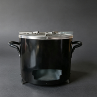 Réchaud de camping portable au charbon et aux granulés de bois, cuisinière à charbon africaine