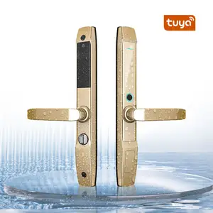 智能应用控制图雅锁超薄锌合金门使用滑动旋转门防水电动锁