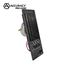 [Stock CN] Amplificateur audio professionnel Accuracy Pro APC 450W, carte de circuit amplificateur 2 canaux classe H DSP pour enceinte active