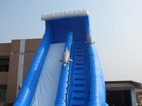 Giant Outdoor Commercial Inflatable Dolphin Water Slide with Pool