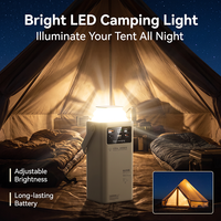 Batterie externe haute capacité pour le camping en plein air, 80000 mAh, PD22.5w, charge rapide, avec double port USB Type-C, 4 câbles, lumière LED