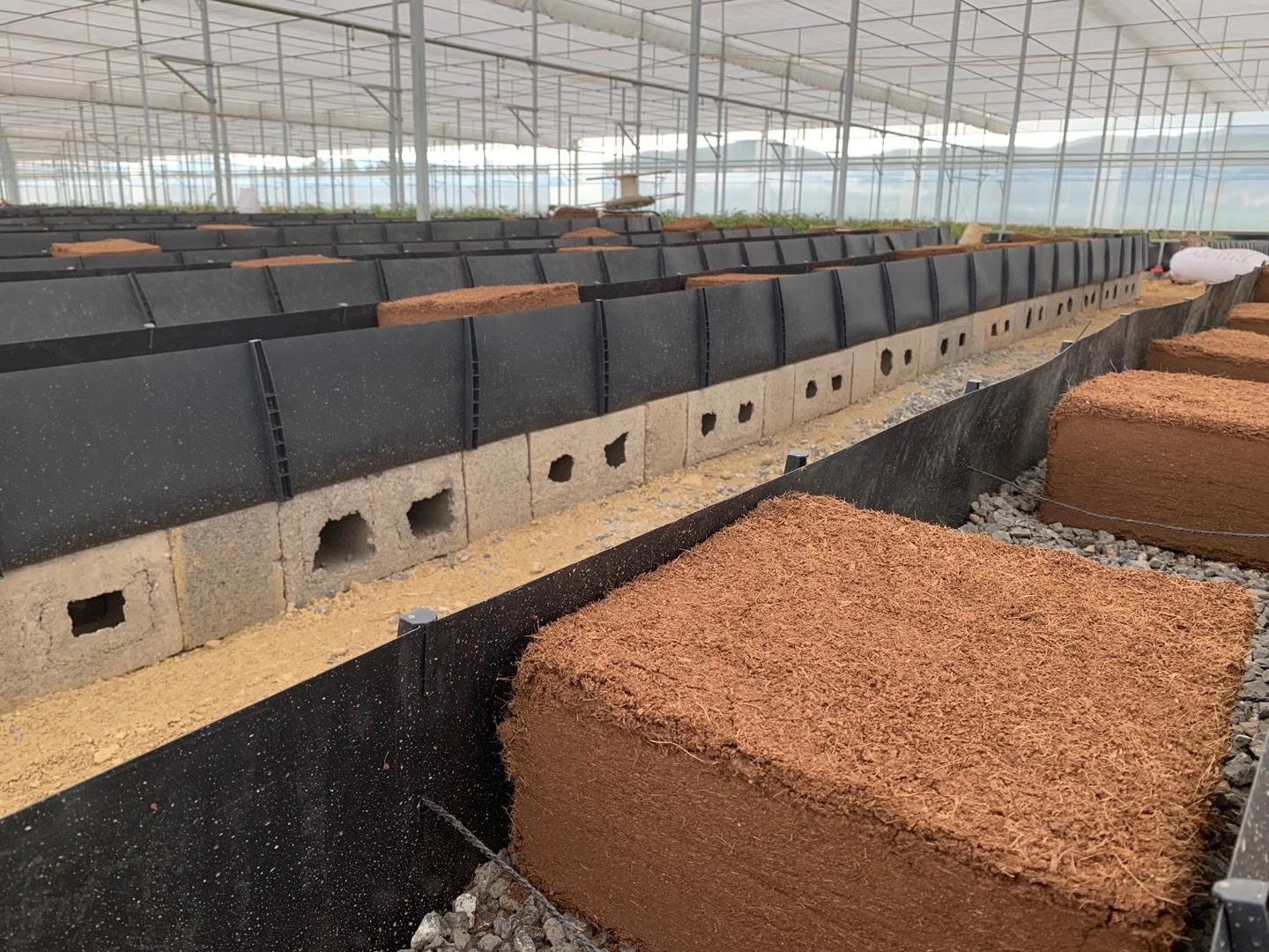 agriculture soilless