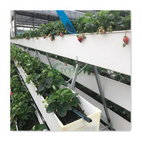 Système de serre hydroponique de gouttière en PVC pour jardin intérieur complet Systèmes de culture de fraises Nft