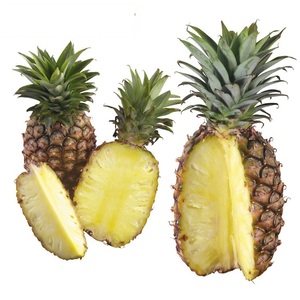 Doğal Glutensiz Koşer Sertifikalı Organik Ananas Tozu, Hazır Karışık Toz Poşet Meyve Suyu İçeceği İçin - Product Image 5