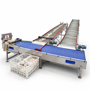 Machine d'emballage et de tri à 6 canaux parfaitement adaptée au système de collecte centralisée des œufs pour les exploitations avicoles de moyenne taille - Product Image 1