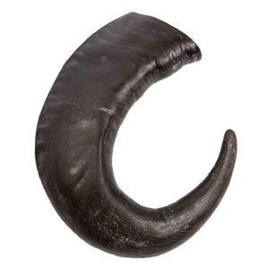 Calidad natural Listo para exportar Búfalo Calidad superior buena calidad personalizado Venta 100% Cuernos de búfalo - Product Image 1