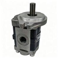 Chaolutong 0009812512 Pompe à engrenages hydraulique 11 dents pour chariot élévateur Linde HT30D/HT25D/HT35D, pièces de rechange, garantie 6 mois, neuf d'usine
