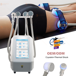 Appareil de beauté Cryoskin pour le remodelage corporel, la réduction de la graisse, machine de <span class=keywords><strong>spa</strong></span> et salon, dispositif à globes de glace - Product Image 4