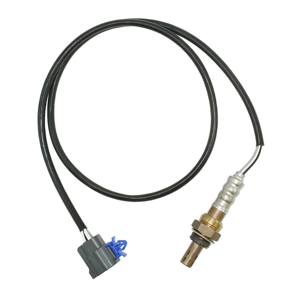 新着入荷の通販 Hcb098d076a7e42ceb19056ec400fe パーカッション・打楽器