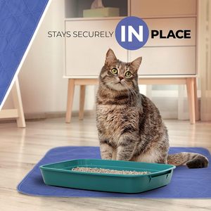 Tapis d'entraînement pour chiens réutilisable, écologique, anti-fuite, super absorbant, antidérapant et lavable pour l'intérieur - Product Image 6