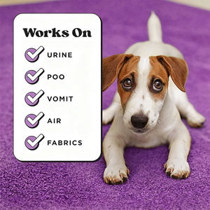 Spray Désodorisant Rapide pour Animaux de Compagnie, Parfum Agrumes Frais, pour Urine de Chien et Chat, Vente en Gros, OEM ODM, Direct, en Vrac - Product Image 6