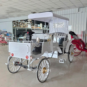 Buggy de Tourisme Vintage Européen Élégant avec Siège Noir pour Transport Romantique en Extérieur - Product Image 4