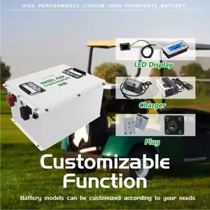 Batteria per carrello da golf LFP lip4 Lifepo4 48v 60ah 50ah 100ah 175ah con pacco batteria BMS