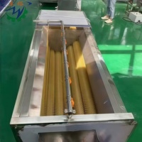 Machine à Frites Professionnelle, Laveuse et Éplucheuse de Pommes de Terre, Nettoyeur de Légumes pour Noix de Coco, Maïs, Fruits, en Acier Inoxydable SUS 304 de Haute Qualité