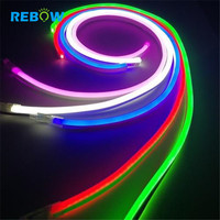 Rebow en Stock fabricant Pixel Spi Dmx512 Pixel Neon Flex 5V pour la décoration murale