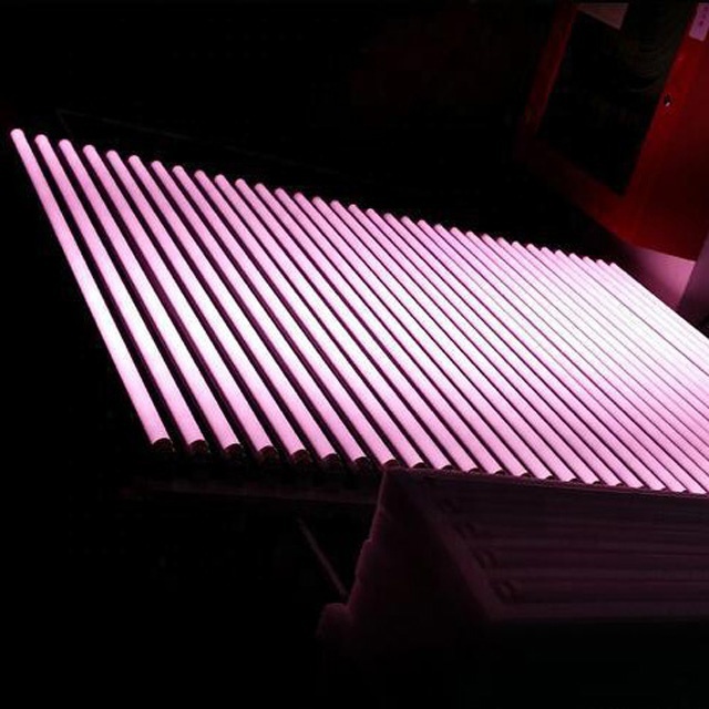 Super Bright Pink T8 LED Tube